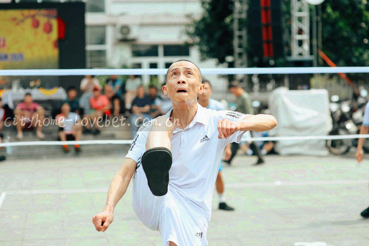 两组对阵近五个赛季交手结果的主客场条形分布示意，深底配荧光绿与暖橙